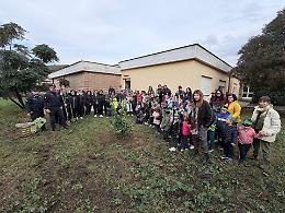 Festa dell’Albero: la Pedagnalonga incontra gli studenti di Borgo Hermada e La Fiora
