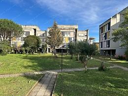 Case Arlecchino, Ater e Comune accelerano: “Interventi urgenti per sicurezza e decoro”