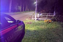 Omicidio stradale, patteggia la pena a due anni