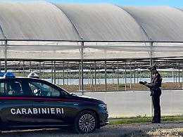 Terracina, operaio cade dalla scala mentre lavora in una serra: intervengono i carabinieri