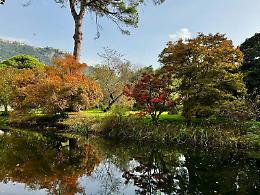 Giardino di Ninfa, apertura straordinaria l'8 dicembre: il ricavato destinato a Etikey Impresa Sociale