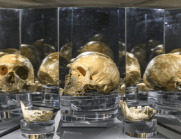 Apre oggi il Laboratorio Neanderthal