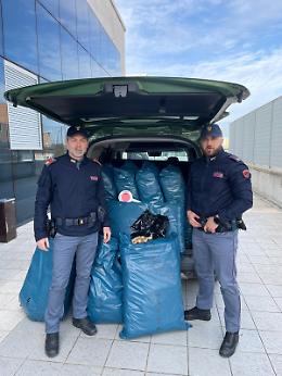 Aprilia, maxi sequestro di oppio sulla Pontina: oltre 50 chili di bulbi di papavero in auto