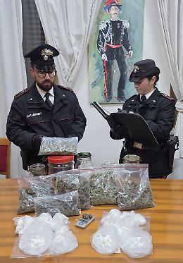 Latina, scorte di coca e marijuana in casa di un insospettabile