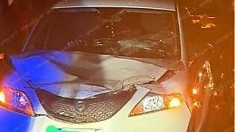 Incidente sulla Ninfina, l'auto si scontra con un toro