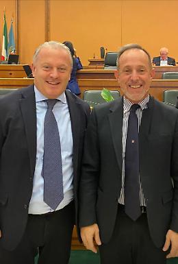 Moria del kiwi nel Lazio: indennizzi quasi tutti liquidati per le aziende agricole