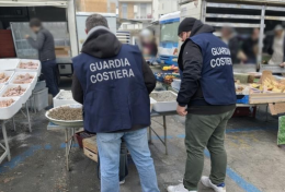 Controlli della Guardia Costiera tra Gaeta e Fondi: sequestrati 160 kg di prodotti ittici e multe