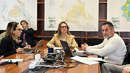 Latina, nuova viabilit&agrave; in via Milazzo: scatta il senso unico