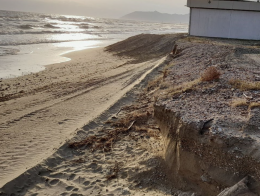 Barriere rigide a mare, l&rsquo;allarme degli ambientalisti del WWF