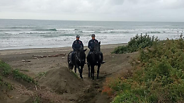 Latina, pesca fuori orario e senza licenza nel Parco del Circeo: sequestri e sanzioni lungo Rio Martino