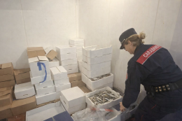 Formia: prodotti ittici in vendita senza tracciabilit&agrave; ed etichette, scattano sequestri e sanzioni