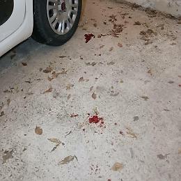 Il tabaccaio rapinato: "Violenza gratuita, cose che ti aspetti nelle metropoli e non a Latina"
