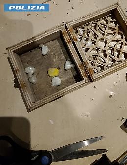 Latina, arrestata in flagranza una 31enne: sequestrati oltre 21 grammi di cocaina