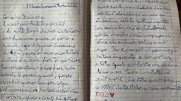 Nella lettera ad un&rsquo;amica il quattordicenne  riportava il disagio per l&rsquo;atteggiamento di un docente