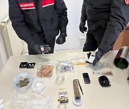Blitz antidroga ad Anzio e Nettuno: sequestrati cocaina e marijuana