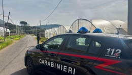 Controlli dei Carabinieri in un&rsquo;azienda agricola. Sospesa l&rsquo;attivit&agrave; e denunciata la titolare