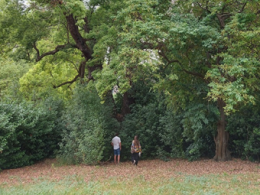 Verde urbano a Terracina, il WWF: &ldquo;Piantare alberi non pu&ograve; essere uno spot elettorale&rdquo;
