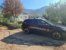 Piazzale e container abitativo senza permessi nell'uliveto, denunciato