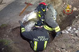 Cane intrappolato in una tubatura salvato dai vigili del fuoco