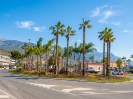 Gaeta sempre pi&ugrave; verde: 180 nuovi alberi all&rsquo;ingresso della citt&agrave;