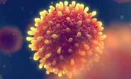 Epatite A in provincia di Latina: 24 casi segnalati, 6 ricoveri stabili. La Asl attiva la task force