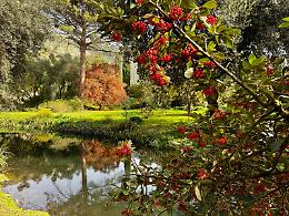 Una festa tra arte, siti e natura Pasqua e Pasquetta, le proposte
