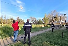 Si rompe il gioco nel parco, bambino cade e si ferisce