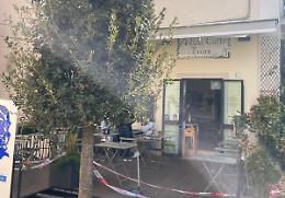 Sperlonga, rinasce l&rsquo;albero simbolo del Caff&egrave; Trani