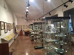 Arte senza casa: la pinacoteca ferma da 6 anni