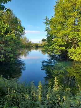 City Nature Challenge 2026, i Monti Aurunci scendono in campo: la scienza parte dai cittadini