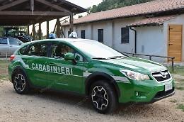 Traffico illecito di rifiuti, il Nipaaf sequestra un'azienda e 11 mezzi