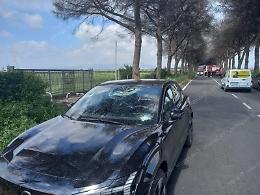 Aprilia, ramo piomba sull&rsquo;auto in corsa: parabrezza sfondato, ferito il conducente