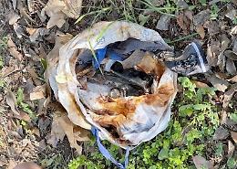 Nel cortile dell'ospedale Goretti era nascosta una pistola pronta a sparare