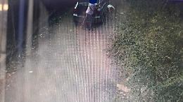 Rifiuti abbandonati, 24 sanzioni in un mese: stretta su controlli e videosorveglianza