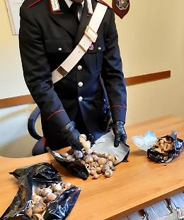 Trovato con 6 chili di papaveri di oppio: arrestato 37enne