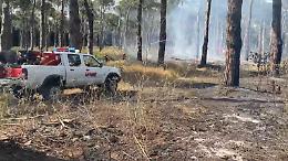 Ancora un incendio alla pineta della Campana: ora la conta dei danni
