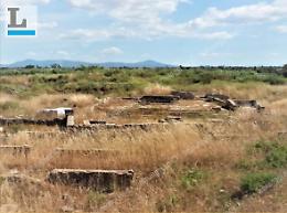 Aree archeologiche a rischio roghi: l'appello del comitato