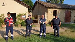 Staffetta per salvare un gheppio ferito, interviene la protezione civile