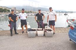 Pescatori sportivi nei guai: avevano preso più di 2500 ricci di mare