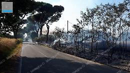 Latina, allarme incendi: chiusa via Nascosa. Le fiamme ai margini della strada