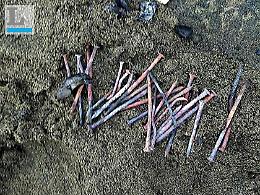 Falò in spiaggia: dopo il divertimento restano i chiodi in spiaggia
