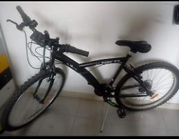 Ottiene la bicicletta come premio per la bella pagella, ma gliela rubano. Appello per ritrovarla