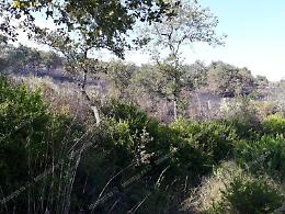 Ancora incendi a Pulcherini, distrutti anche ettari di oliveti