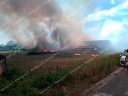 Incendio a Cisterna: identificato e denunciato il presunto autore
