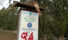 Volpe mutilata e appesa al cartello, Bellini: "Atto vergognoso"
