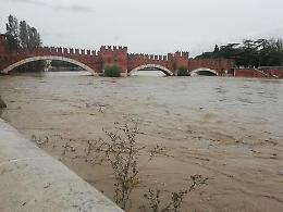 Trascinato dall'Adige in piena per salvare una vita. E' pontino il pompiere-eroe