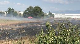 Incendio di sterpaglie: i vigili del fuoco impegnati a domare le fiamme
