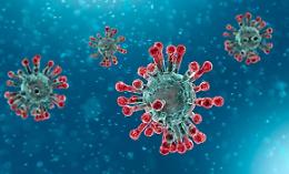 Coronavirus, altri due casi a Lanuvio, entrambi ricoverati