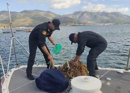 Pesca illegale, trovata una rete di 200 metri a poca distanza dalla costa