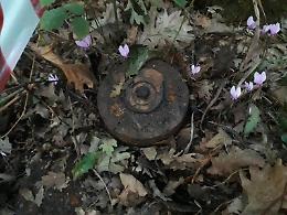 Va in cerca di funghi nel bosco e trova una mina della seconda guerra mondiale